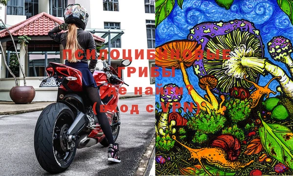 бошки Зерноград