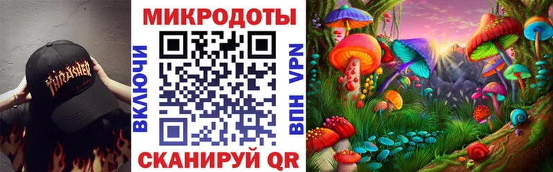 Галлюциногенные грибы Psilocybe  Купить где  Биробиджан 