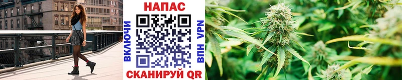 Канабис семена  Купить где  Биробиджан 